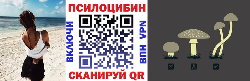 где можно купить   hydra сайт  Псилоцибиновые грибы мухоморы  Жигулёвск 